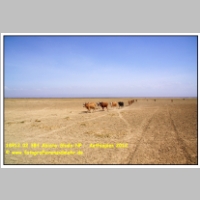 18912 02 384 Abiata-Shala-NP - Aethiopien 2012.JPG